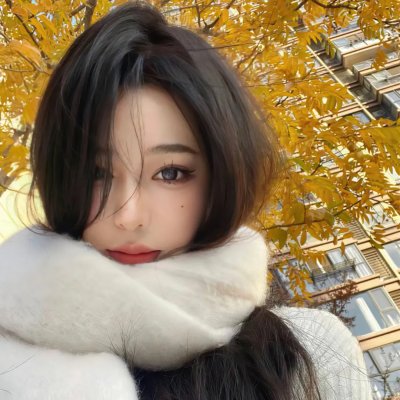 齐姆与友