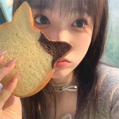 荡寇新传